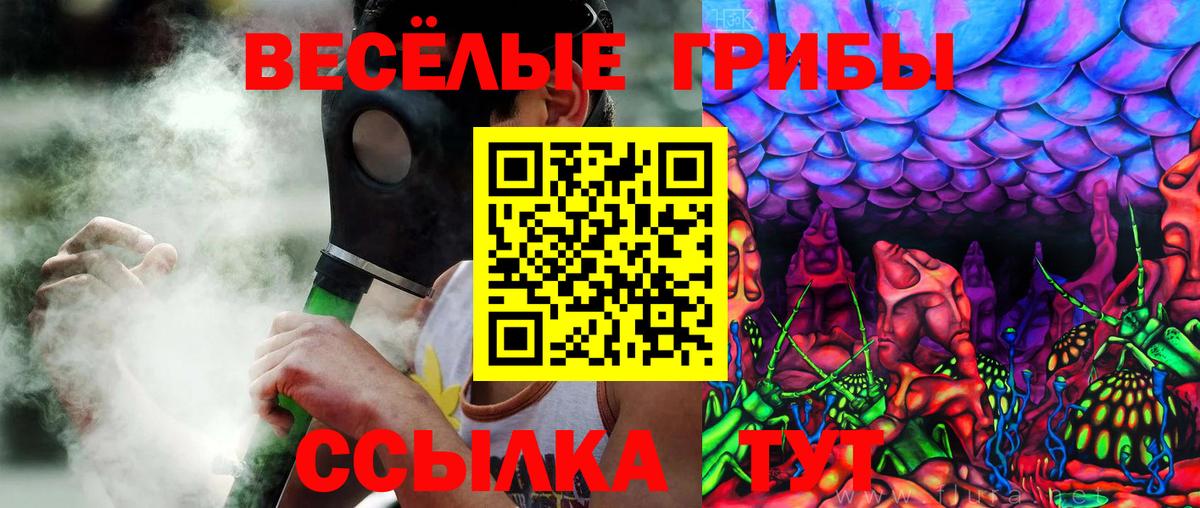 Псилоцибиновые грибы прущие грибы Белебей